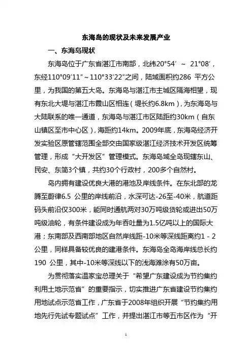 东海岛的现状及未来发展产业
