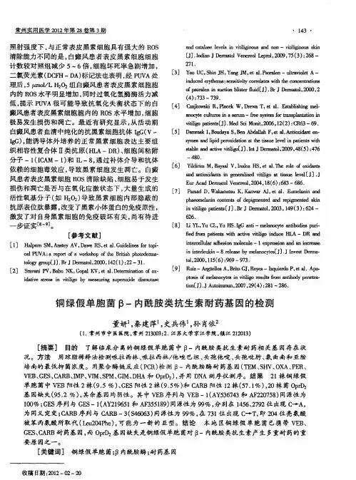 铜绿假单胞菌β-内酰胺类抗生素耐药基因的检测