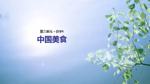 (赛课课件)人教版二年级语文《识字四中国美食》 (共15张PPT)