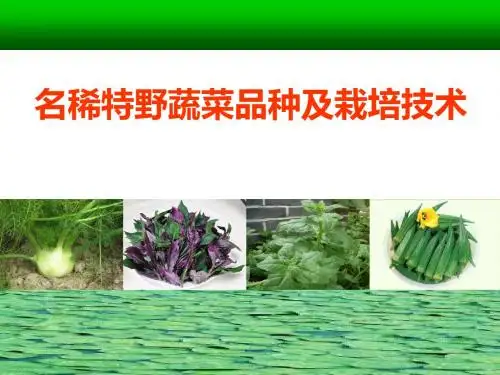 特种(药用)蔬菜