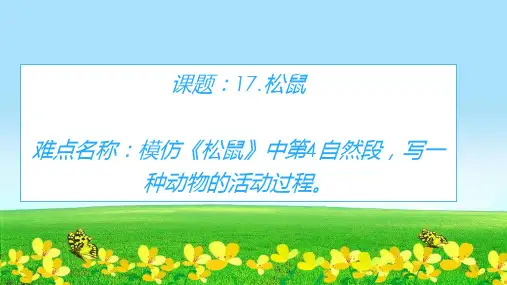 统编版五年级语文上册公开课课件 17.松鼠10  (共8张)