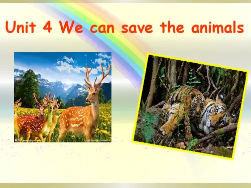《We can save the animals》优秀PPT课件