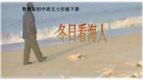 冬日看海人优质课公开课课件 (2)