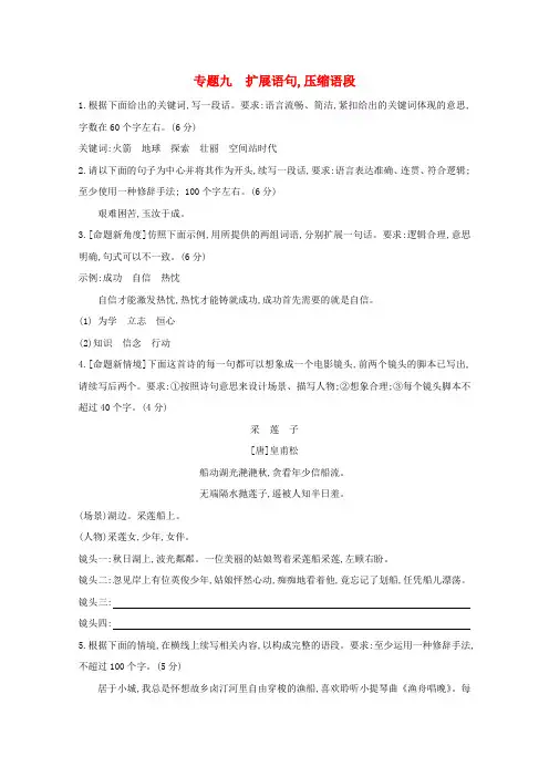 高考语文一轮复习专题九扩展语句压缩语段试题2(含解析)新人教版