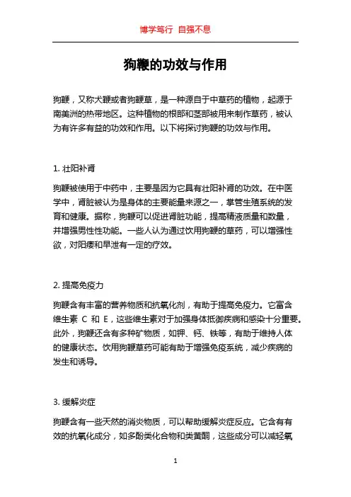 狗鞭的功效与作用