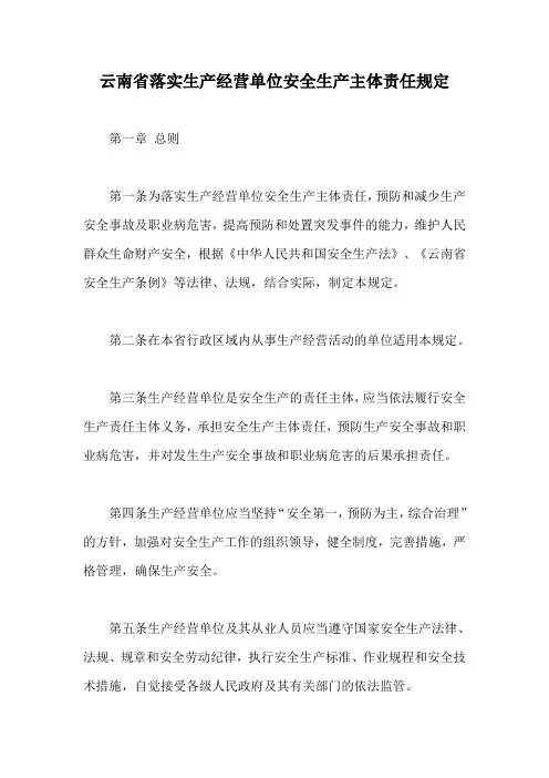 云南省落实生产经营单位安全生产主体责任规定【最新版】