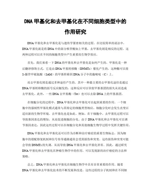 DNA甲基化和去甲基化在不同细胞类型中的作用研究