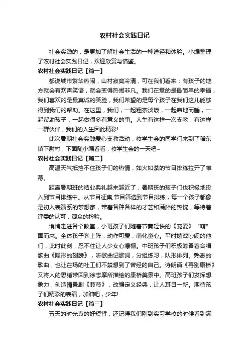 农村社会实践日记