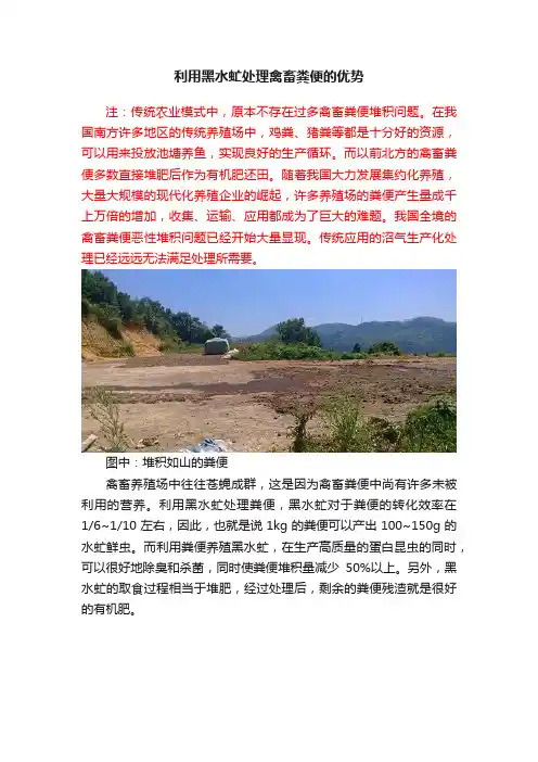 利用黑水虻处理禽畜粪便的优势