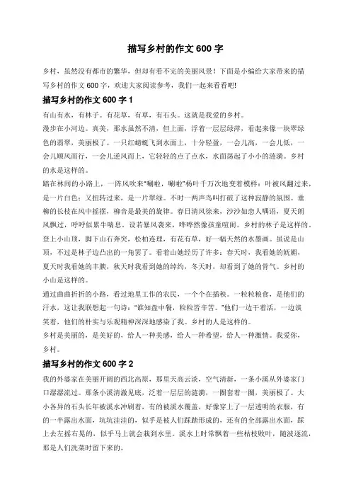 描写乡村的作文600字