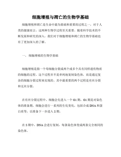 细胞增殖与凋亡的生物学基础