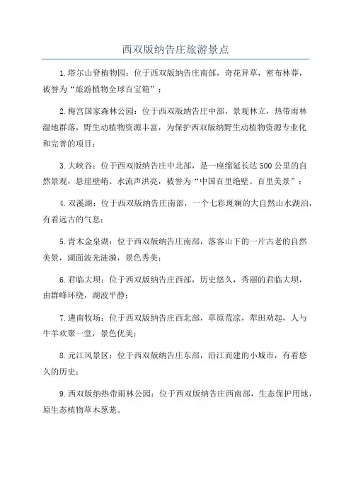 西双版纳告庄旅游景点