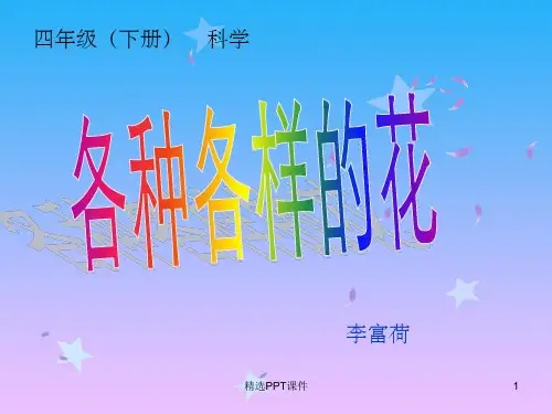 四年级科学下册《各种各样的花》PPT(教科版)PPT课件