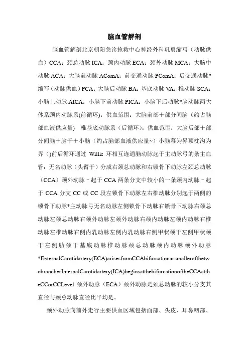 脑血管解剖