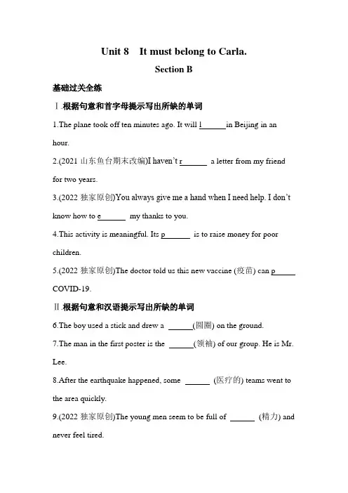 英语人教九年级全一册人教版 Unit 8  全练版：Section B