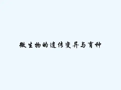 微生物的遗传变异与育种 PPT
