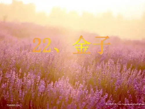 小学三年级上学期语文《金子》优质课PPT课件