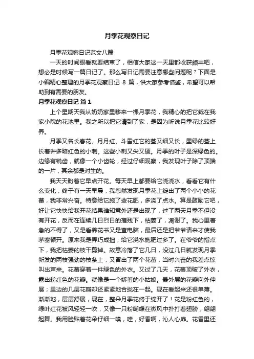 月季花观察日记范文八篇