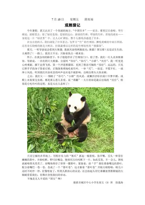 观熊猫记