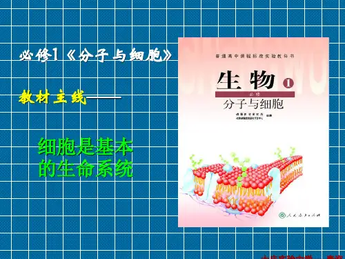 高中生物必修一全册课件