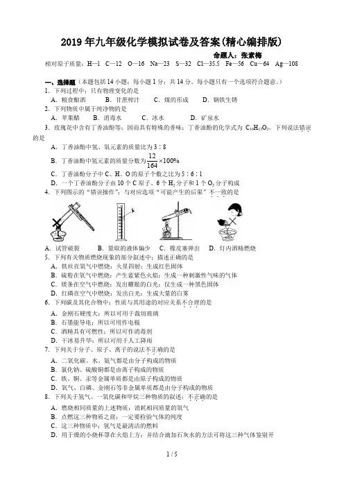 2019年九年级化学模拟试卷及答案(精心编排版)