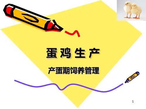 蛋鸡生产产蛋期2课件(共56张PPT)《家禽生产技术》