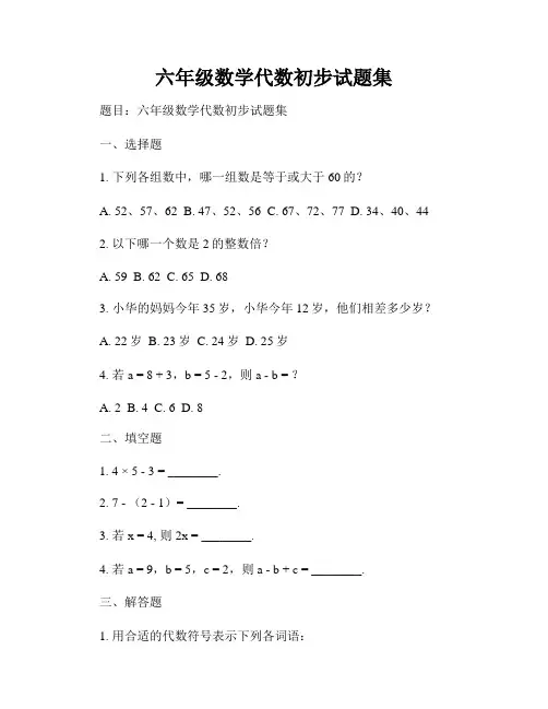 六年级数学代数初步试题集