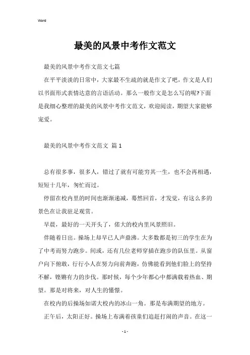 最美的风景中考作文范文