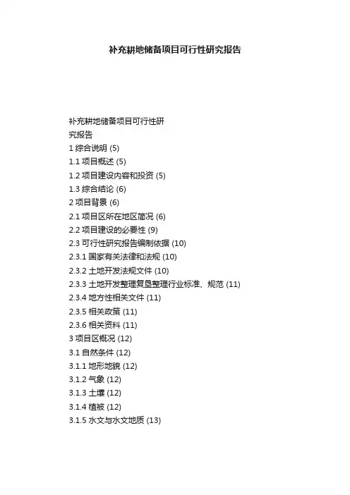 补充耕地储备项目可行性研究报告