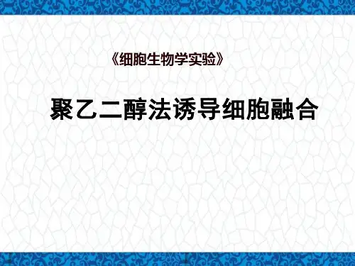 细胞生物学实验PPT课件：聚乙二醇法诱导细胞融合