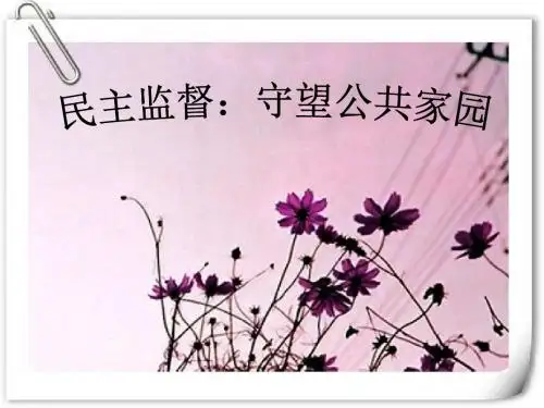 高一政治民主监督