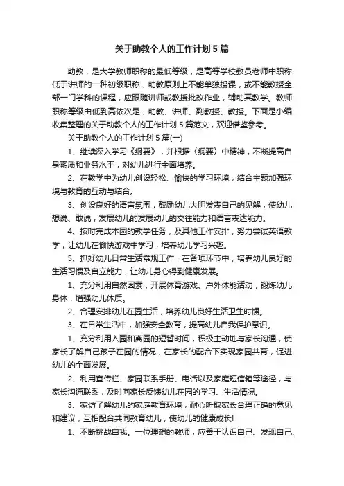 关于助教个人的工作计划5篇