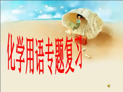 人教版九年级化学用语专题复习课 课件