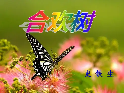 《合欢树教学课件》PPT课件