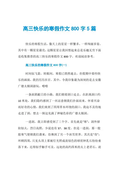 高三快乐的寒假作文800字5篇