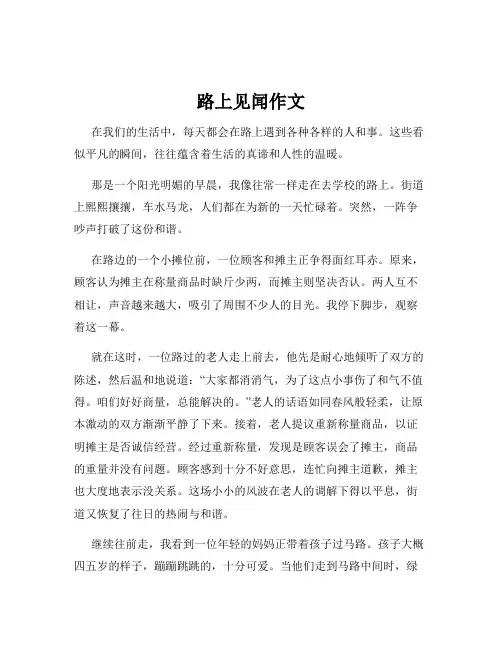 路上见闻作文