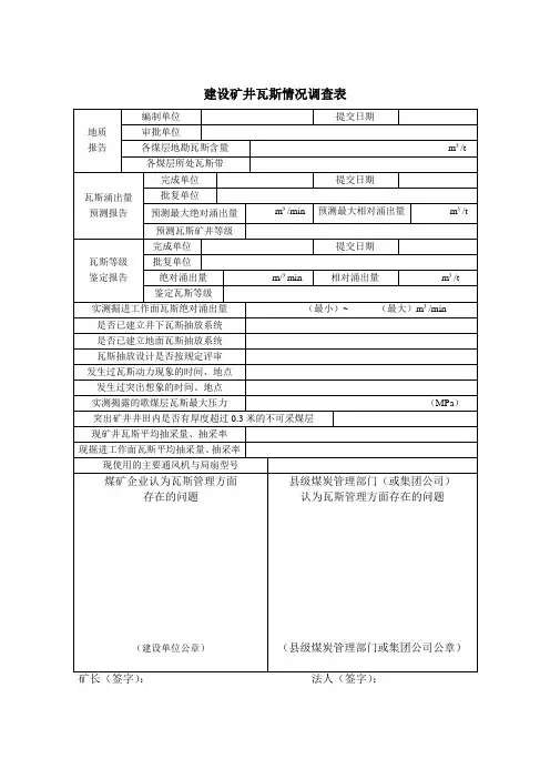 瓦斯调查表
