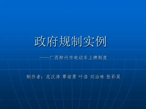 政府规制实例