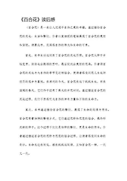 百合花读后感