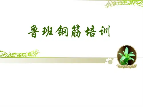 鲁班钢筋培训模板-保护层