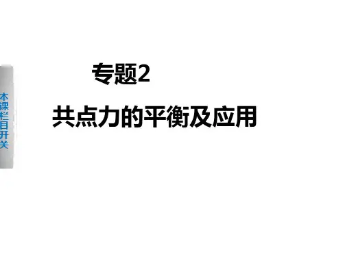 高考物理一轮复习课件第二章专题2共点力的平衡及应用人教
