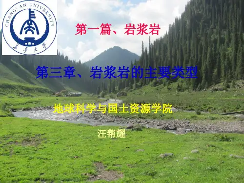岩浆岩(酸性岩)(ppt文档)