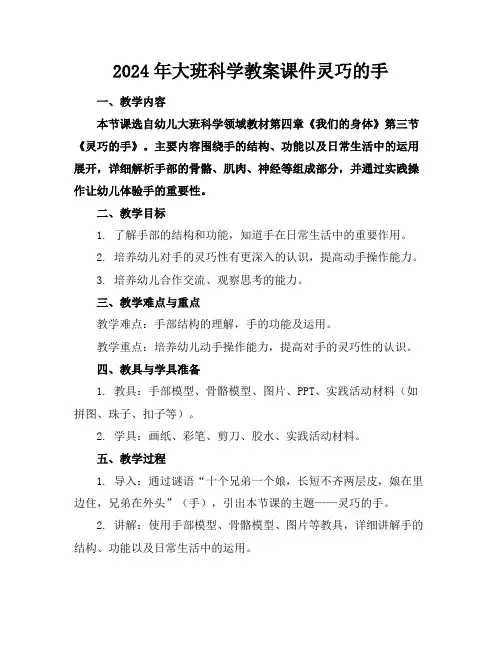 2024年大班科学教案课件灵巧的手
