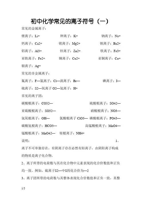 初中化学常见离子符号