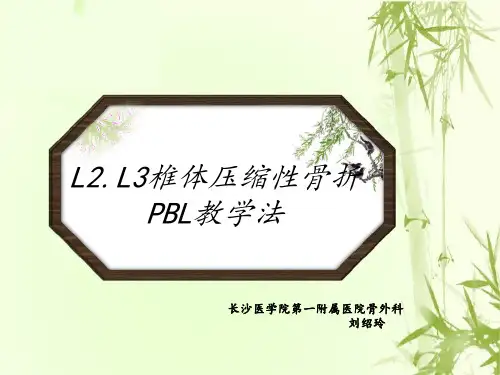 L2.L3腰椎压缩性骨折PBL教学法资料