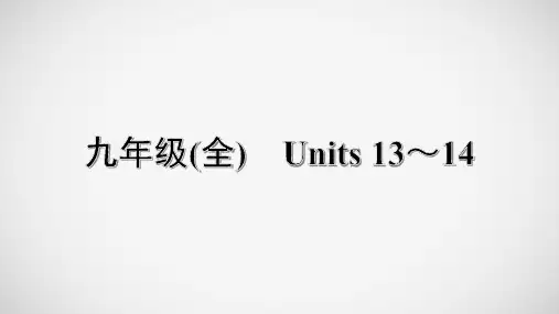 23. 九年级(全) Units 13～14-冲刺2021中考英语一轮复习教材梳理课件
