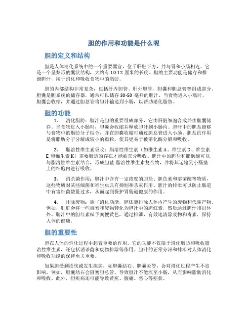 胆的作用和功能是什么呢