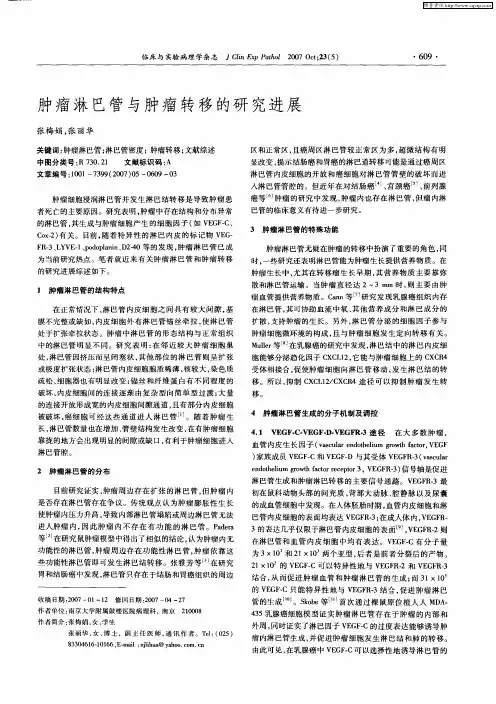 肿瘤淋巴管与肿瘤转移的研究进展