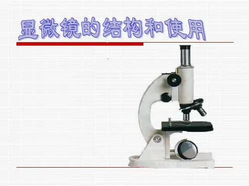 《显微镜的使用》PPT课件