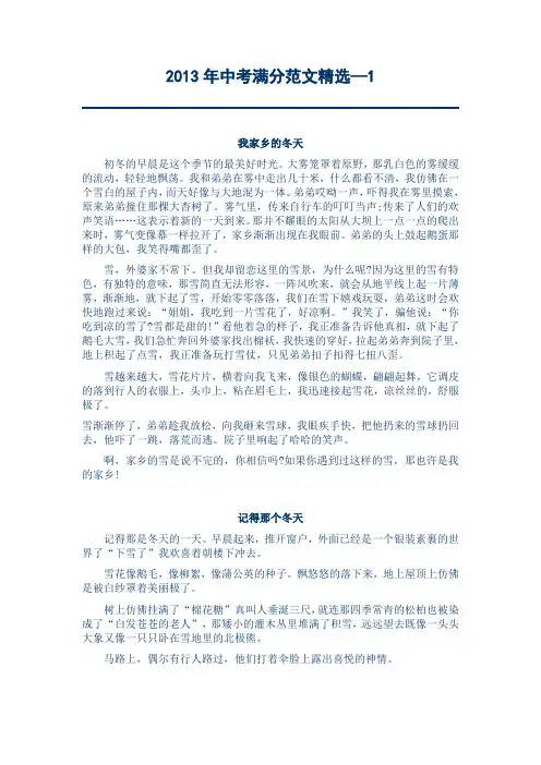 2013年中考满分范文精选